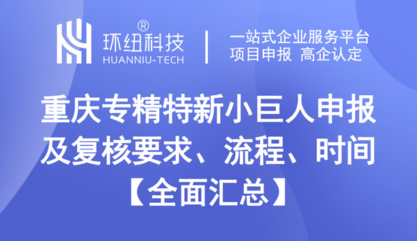 重慶專精特新小巨人申報及復核