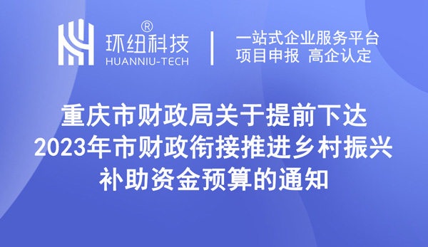 2023年市財政銜接推進鄉村振興補助資金預算