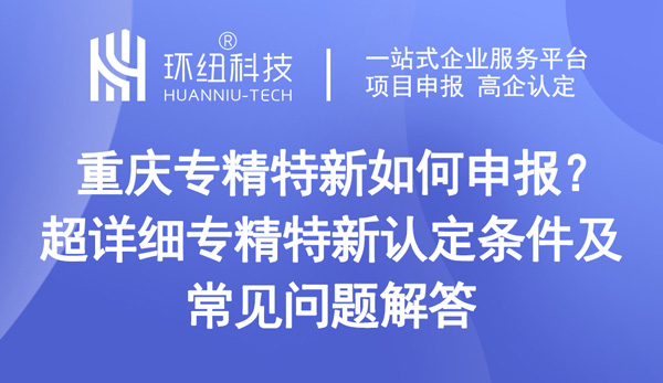 專精特新企業申報指南