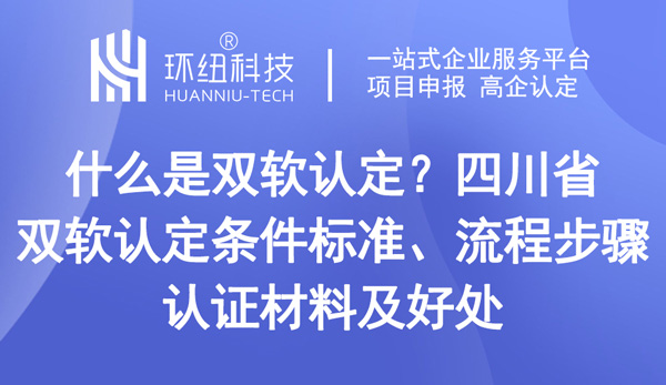 四川省雙軟認定