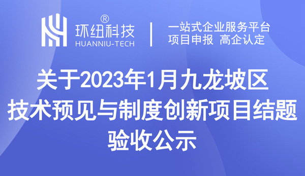 九龍坡區技術預見與制度創新項目結題驗收公示