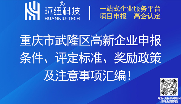 武隆區高新企業申報