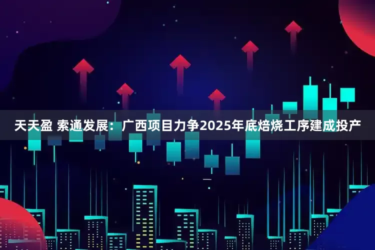 天天盈 索通发展：广西项目力争2025年底焙烧工序建成投产