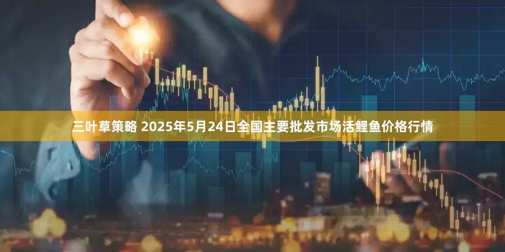 三叶草策略 2025年5月24日全国主要批发市场活鲤鱼价格行情